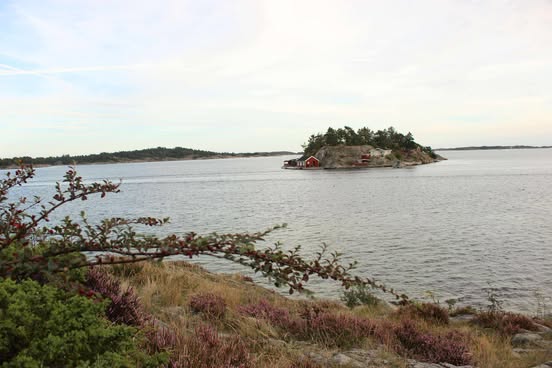 Bakgrunn 2